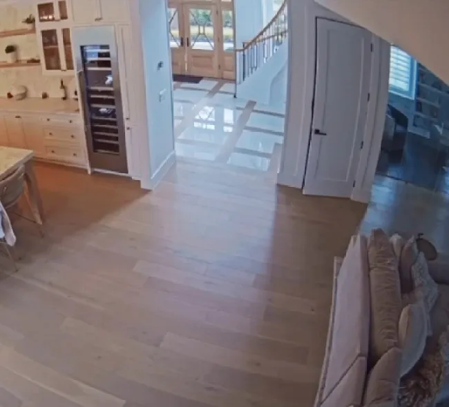 Melissa Gorga captura de pantalla del video de seguridad del hogar