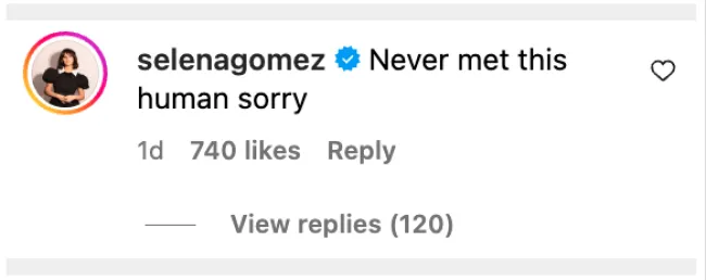 Comentario de Instagram de Selena Gome.
